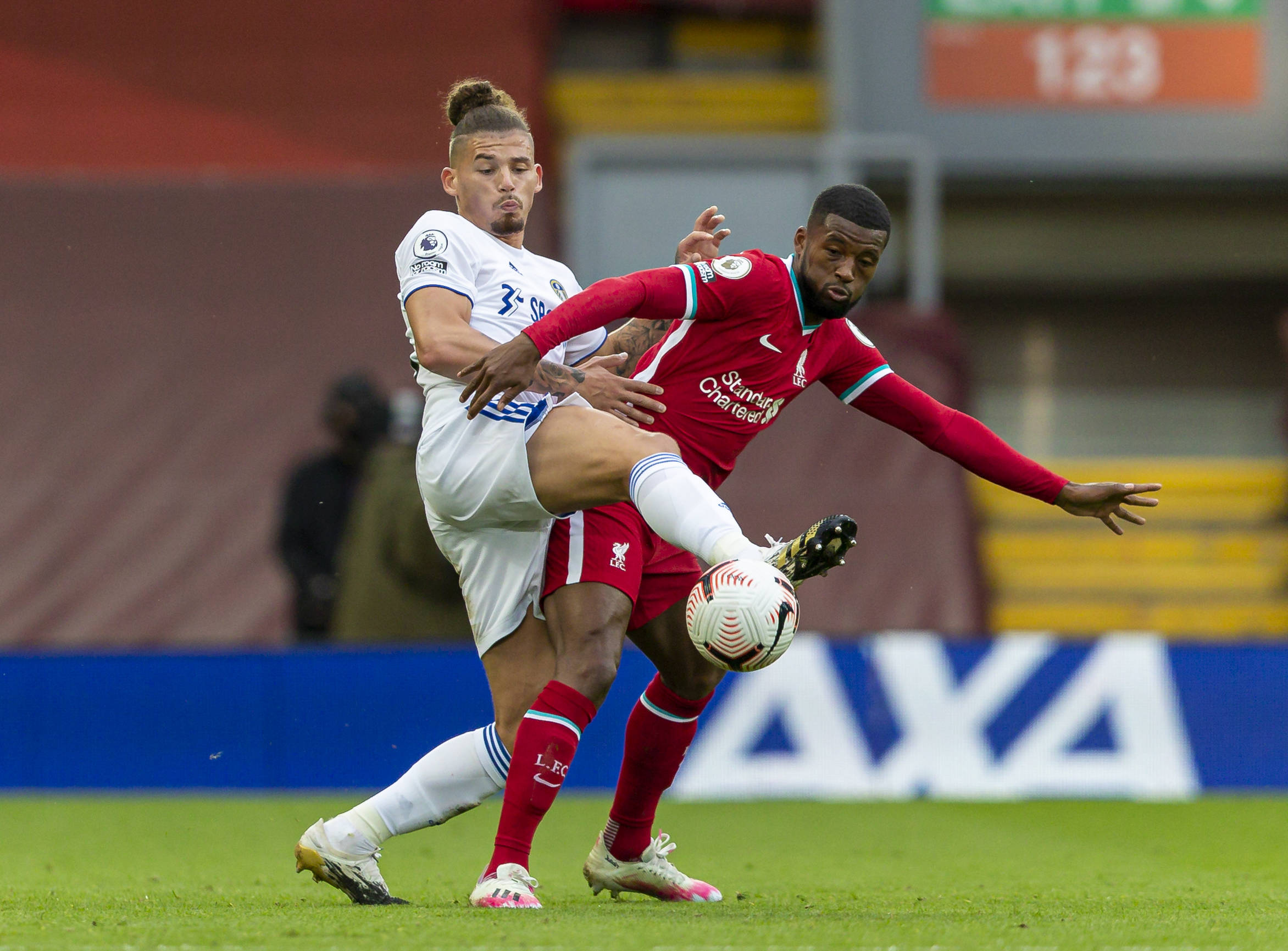 吸引了全球 吸引了全球